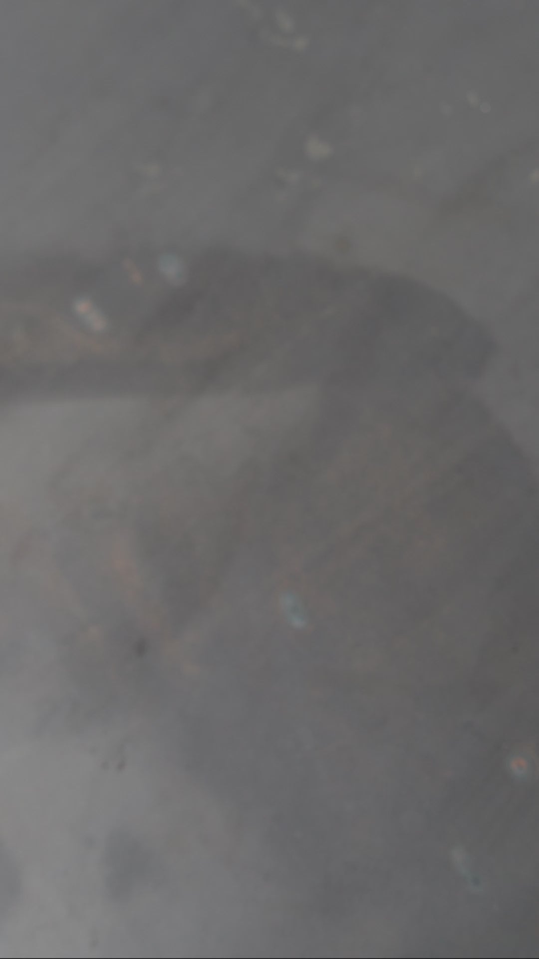 SPİCE CONTAİNER - Baharatlık